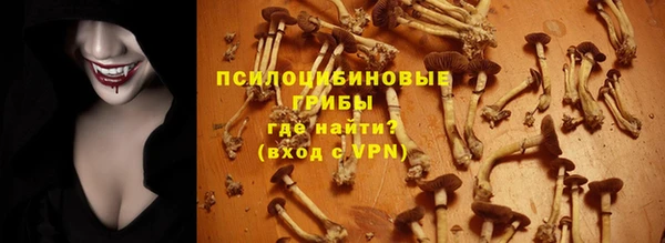 ГАЛЛЮЦИНОГЕННЫЕ ГРИБЫ Балахна