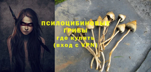 ГАЛЛЮЦИНОГЕННЫЕ ГРИБЫ Балахна