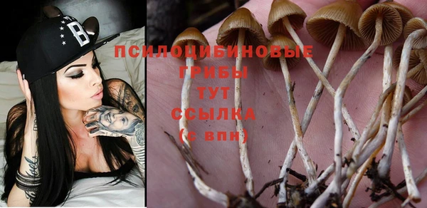 стаф Балабаново