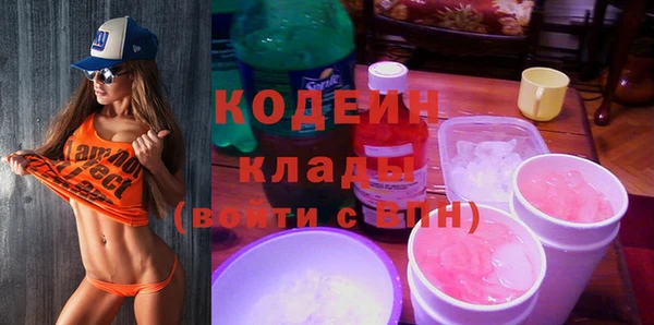 твердый Дмитровск