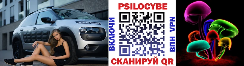 Псилоцибиновые грибы Psilocybe Снежногорск